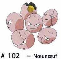 N 102 Noenoeuf
